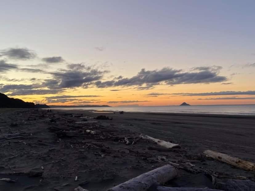 Opotiki - Waiotahe Drifts Beach Pod Exterior foto