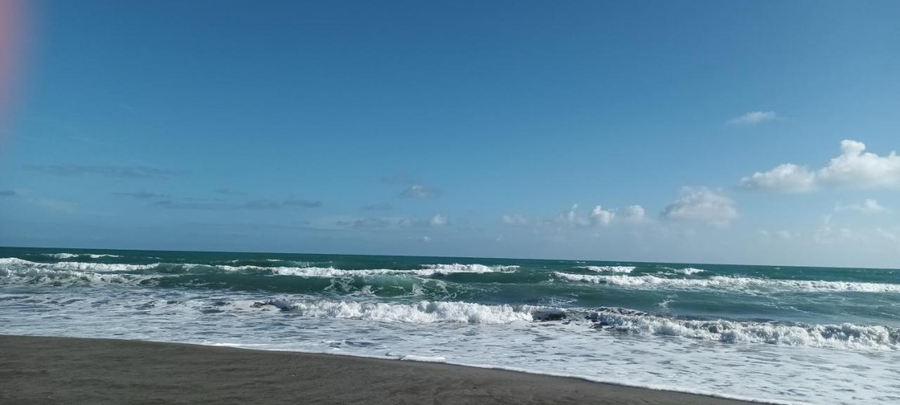 Opotiki - Waiotahe Drifts Beach Pod Exterior foto